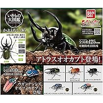 ガシャポン　いきもの大図鑑　かぶとむし 01 全7種　フルコンプ 61+v1ufISoL._UF350,350_QL50_.jpg