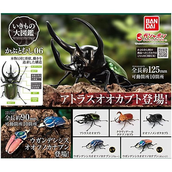 Amazon.co.jp: 「いきもの大図鑑」の大図鑑 (HOBBY JAPAN MOOK