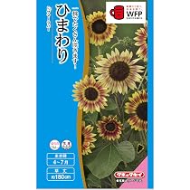 81w55OikVGL._AC_UL210_SR210,