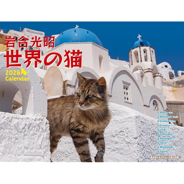 S13】 ねこ日和 2026 Cat Calendar (永岡書店のカレンダー) | 岩合光昭