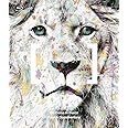 We Come In Peace Tour & Documentary(初回限定盤) [Blu-ray]