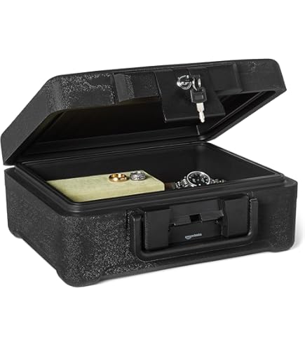 Amazon.co.jp: Sentry ポータブル耐火保管庫(30分耐火) A4サイズ収納可