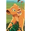 ナラ (Nala) ディズニー - ナラ (Nala) FVGA(480×800)壁紙 304203