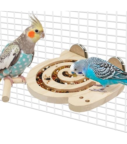 Amazon | インコの止まり木 5個 鳥の止まり木 ケージ用 異なる幅の木製