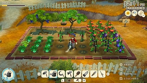 牧場物語シリーズとは？