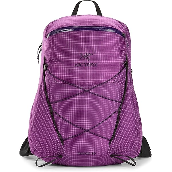 Amazon.co.jp: Arc'teryx Aerios 30 Backpack Men's ピテウス, Regular