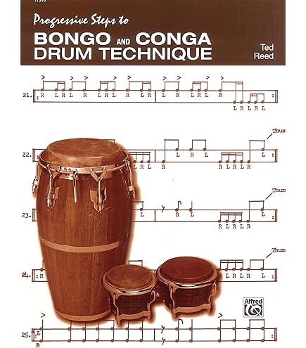 LP エルピー カホン Laptop Conga LP1436 Amazon | LP エルピー カホン Laptop Conga LP1436 | カホン