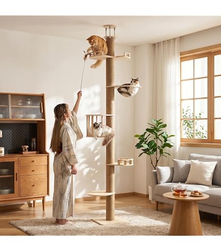 Amazon | [ChicKone] キャットタワー 突っ張り ネコタワー 木製 スリム