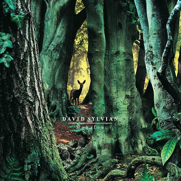 Amazon.co.jp: Everything & Nothing - David Sylvian [12 inch Analog
