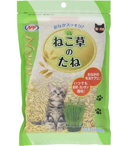 Amazon | Petllgood 猫草スティック 30g 乾燥猫草スナック 100%天然
