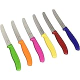 Victorinox Swiss Stainless Steel 6 Piece Round 4.5 Inch Serrated Steak Knife Set with Green, Orange, Pink, Yellow, Red, and B