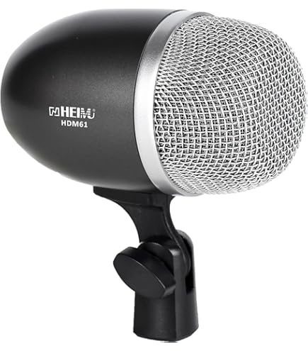 Amazon | SOLOMON MiCS LoFReQ Sub Microphone, Black by SOLOMON MiCS