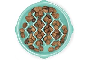 Outward Hound Anti-slinging Dog Bowl - Slow Feeder Dog Bowl for Puppies and Cats, for More Eating Fun and Slower Eating, Prevents Bloating, Non-Slip Feeding Bowl, Size Small (Mint)