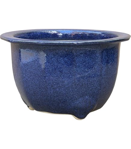 Amazon | 信楽焼 生子輪型 20号 大型植木鉢 | 鉢