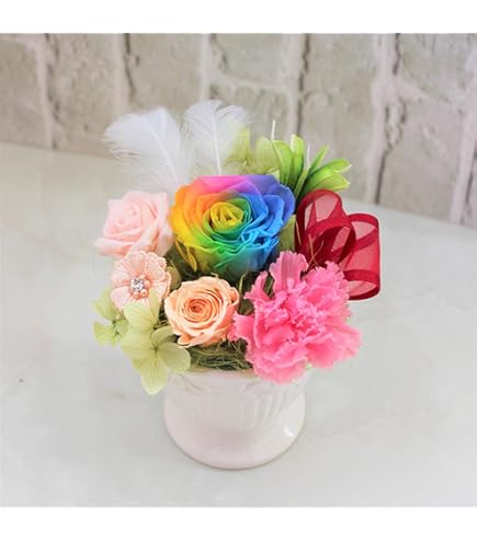 【高級プリザーブドフラワー】レインボーローズカーネーション　ハートギフト 高級プリザーブドフラワー】ケース入りレインボーローズ レインボー