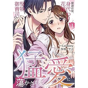 破談前提、身代わり花嫁は堅物御曹司の猛愛に蕩かされる１ (エタニティCOMICS)の表紙