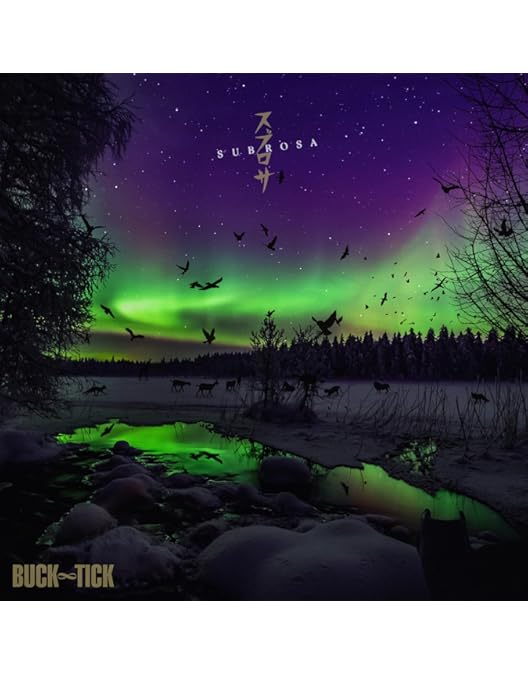 Amazon.co.jp: バクチク現象-2023- [DVD完全生産限定盤] [2DVD+