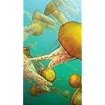 海の生き物 HD(720×1280)壁紙 The Ocean Unseen 2021 Calendar 海の生き物 HD(720×1280)壁紙 The Ocean Unseen 2021 Calendar