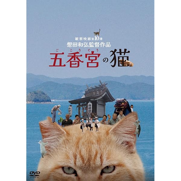 猫様 | 想田 和弘 |本 | 通販 | Amazon
