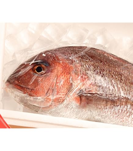 Amazon.co.jp: 魚水島 天然真鯛 マダイ 桜鯛 日本海産 1.0～1.4キロ物