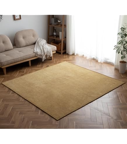Amazon｜KARE カレ 正規品 ラグ ソレイユ カーペット 240x170cm