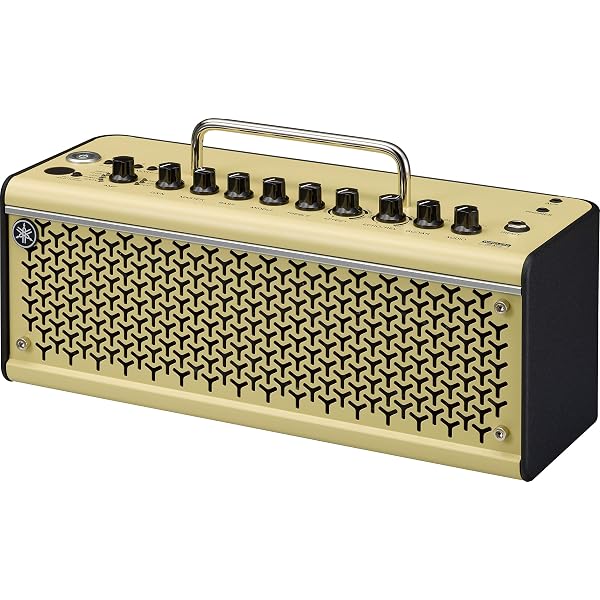Amazon.co.jp: Ampeg/Venture V3 アンプヘッド用キャリーバッグ