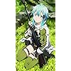 GGO シノン ソードアートオンライン - GGO シノン XFVGA(480×854)壁紙 105424