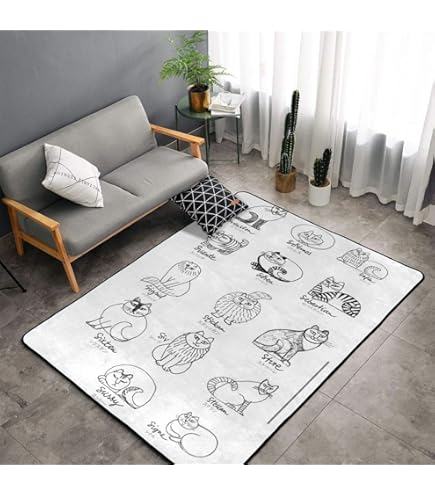 Amazon | リサラーソン カーペット 長方形 ラグマット ラグ 絨毯 夏用