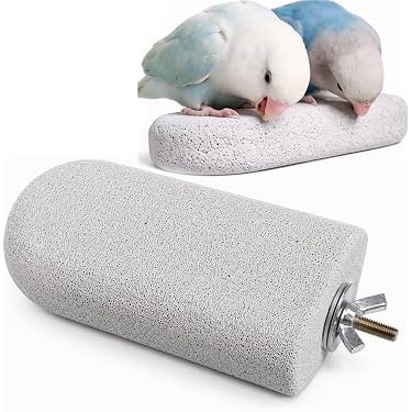 Amazon.co.jp 最新リリース: 鳥用品 の新着ランキングです。