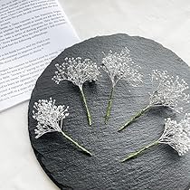 9本2300円本物フラワー 髪飾り プリザーブド ダスティーミラー かすみ草 9本物フラワー 髪飾り プリザーブド ダスティーミラー かすみ草