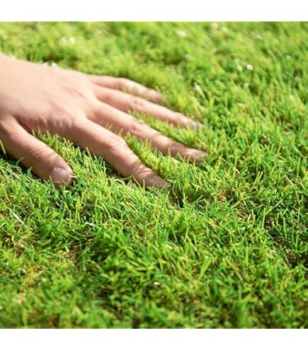 Amazon | モダンデコ 人工芝 高密度タイプ ロール 極細 芝丈35mm u字