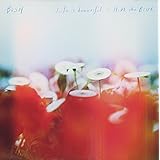 Life is beautiful / HiDE the BLUE(CD+DVD)