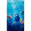 ファインディング・ドリー ディズニー - ファインディング・ドリー HD(720×1280)壁紙 52246