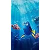 ファインディング・ドリー ディズニー - ファインディング・ドリー iPhoneSE/5s/5c/5(640×1136)壁紙 54437