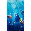 ファインディング・ドリー ディズニー - ファインディング・ドリー XFVGA(480×854)壁紙 52372
