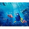 ファインディング・ドリー ディズニー - ファインディング・ドリー Android(960×800)待ち受け 54672