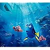 ファインディング・ドリー ディズニー - ファインディング・ドリー QHD(1080×960) 57977