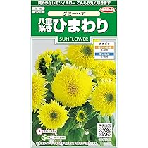 Amazon | 株式会社トーホク 東北八重ひまわり 04153 イエロー | 花