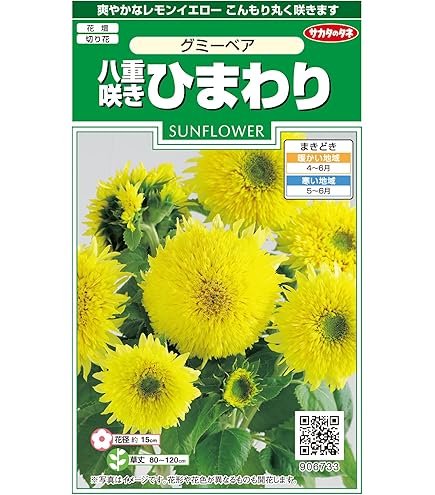 Amazon | タキイ種苗 花種 ひまわり F1スマイルラッシュ | 野菜
