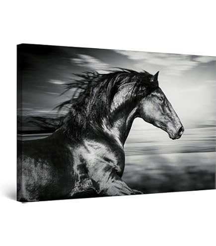 Amazon.co.jp: 馬に乗ったバルタサール・カルロス王子 ディエゴ