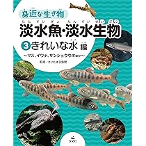 ♡ページ Dita 水草と金魚あそび てっと君 on X: 
