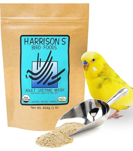 Amazon | 【直輸入】 ハリソン アダルト ライフタイム マッシュ