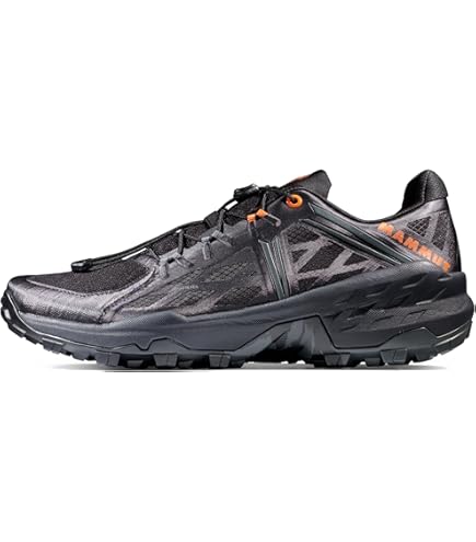 Amazon.co.jp: マムート MAMMUT Aenergy TR BOA R Mid GTX Men 3030