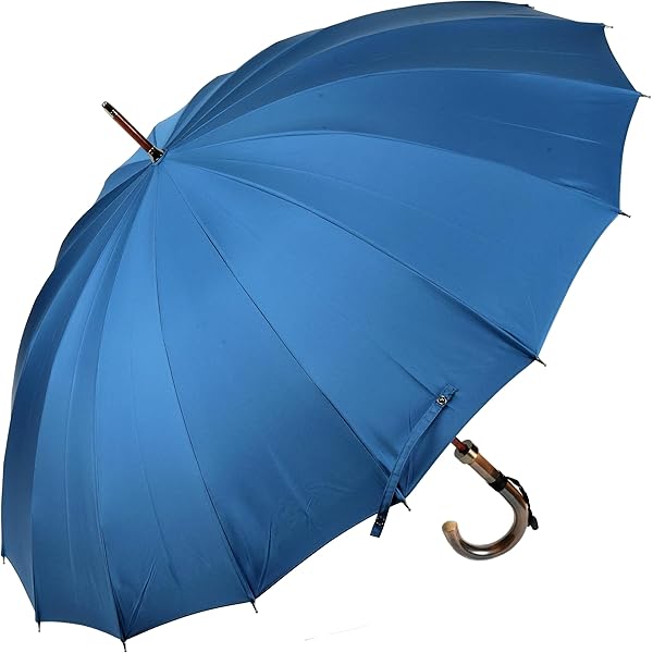 Amazon.co.jp: 傘 メンズ 長傘 前原光榮商店 16本骨 雨傘 晴雨