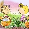 スヌーピー Peanuts ピーナッツ トイショップ Ipad壁紙 画像 スマポ
