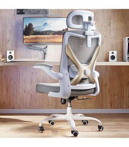 Amazon.co.jp: 人間工学に基づいた人間工学に基づいたオフィス