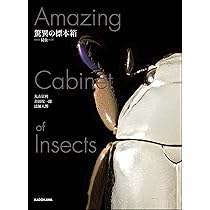 81xdfhjqGgL._AC_UL210_SR210,