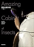 驚異の標本箱 -昆虫-