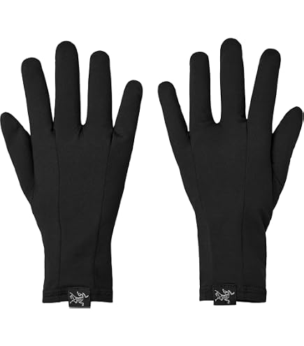 Amazon.co.jp: Arc'teryx ベンタグローブ | 軽量 通気性 防風グローブ