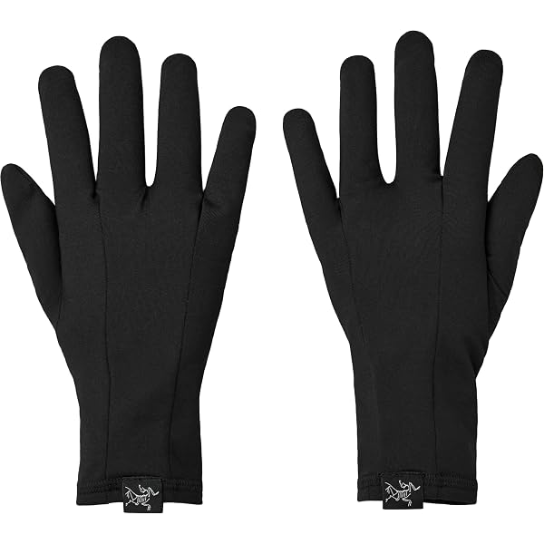 Amazon.co.jp: [アークテリクス] ARCTERYX ベンタ ゴアテックス